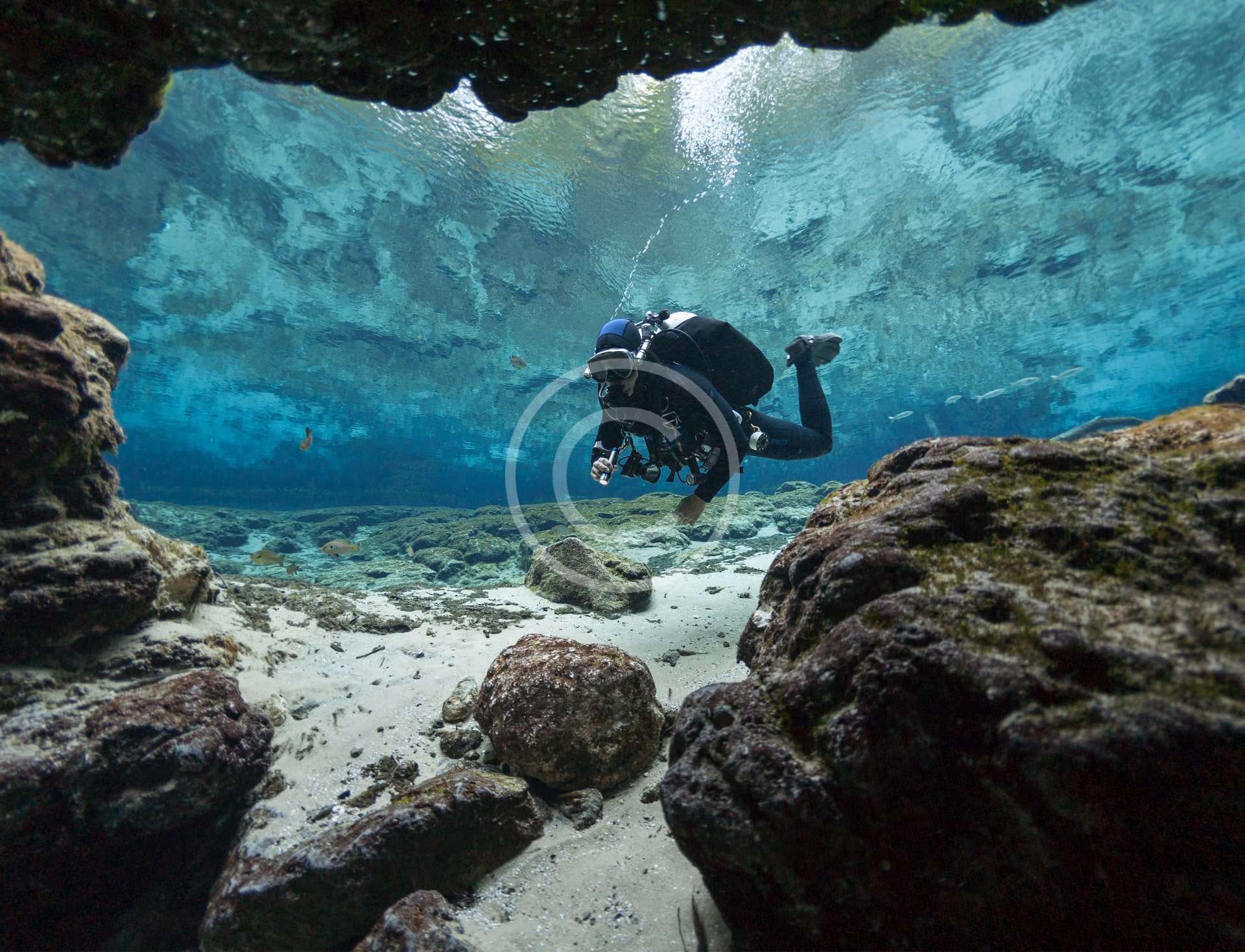 trail img 19 2 copyright Dive Charters & Boat Trips