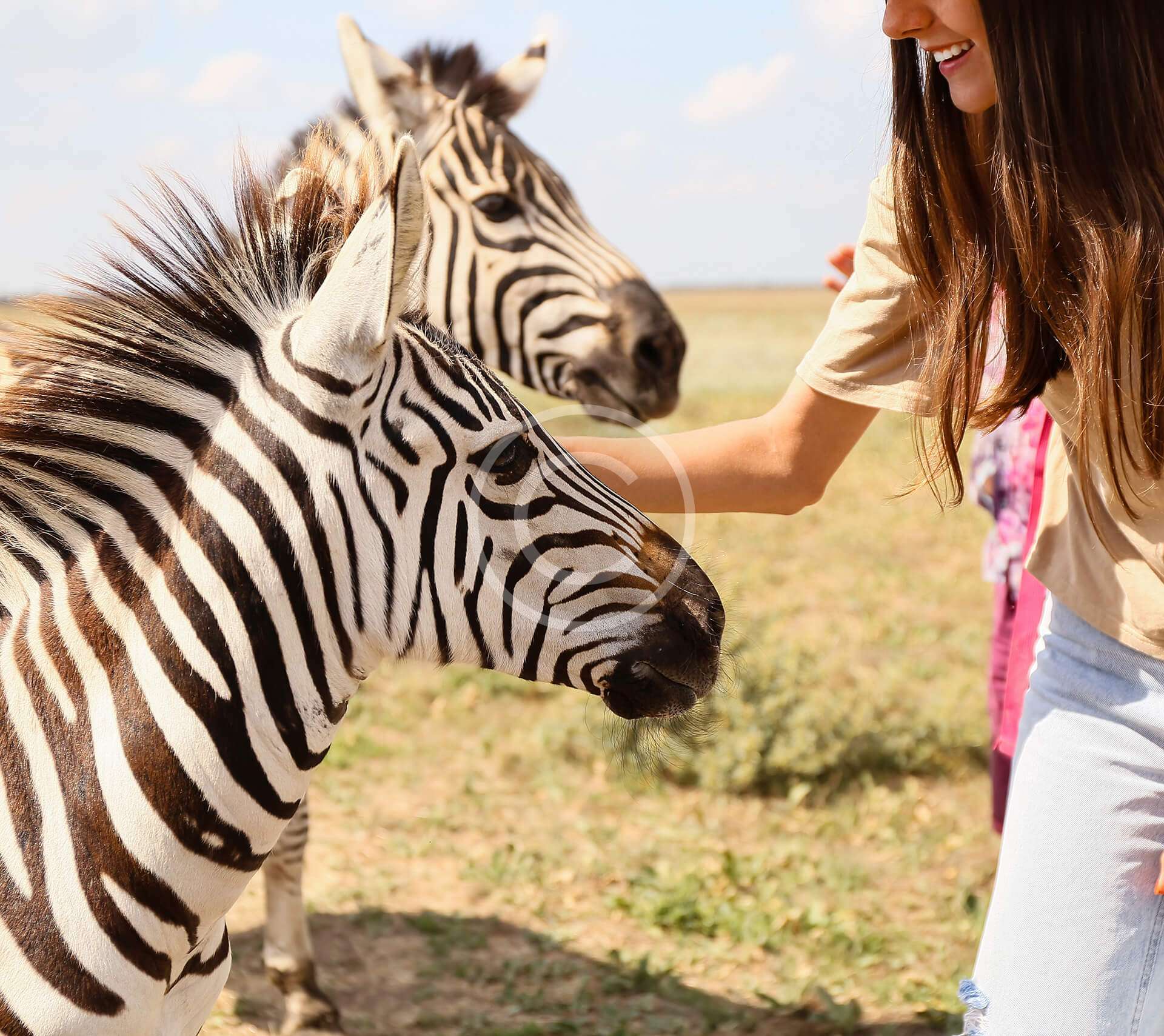 trail img 110 copyright The Petting Zoo